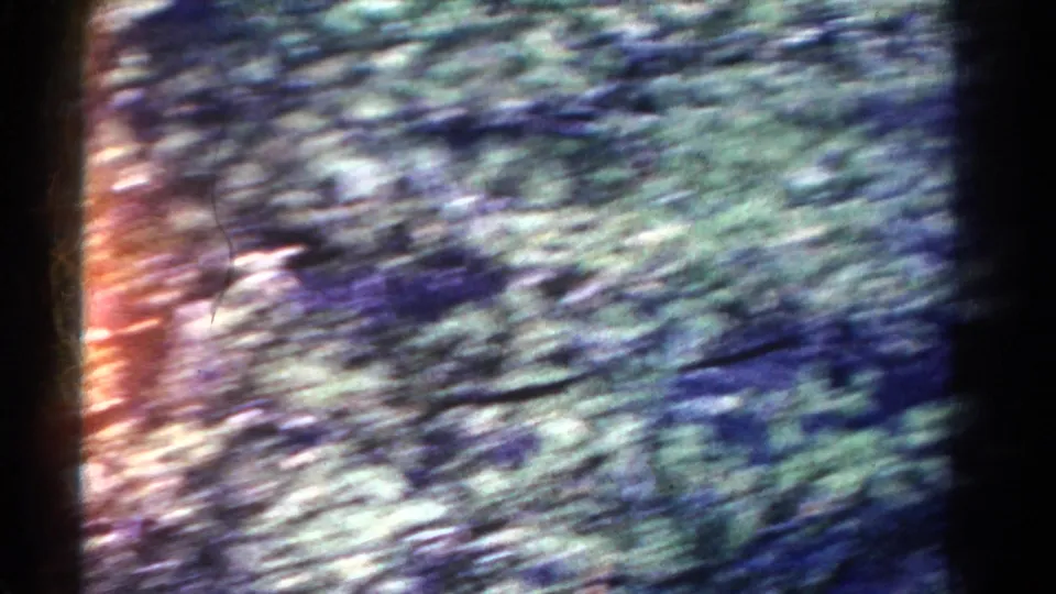 1967 Colorado 8mm frame dominated by blurred branches and leaves, suggesting handheld movement between the viewer and the hidden cliff ruins.