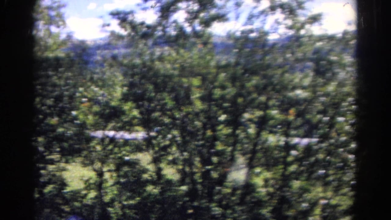 Blurred roadside trees with mountains and sky beyond, seen from a moving vehicle.