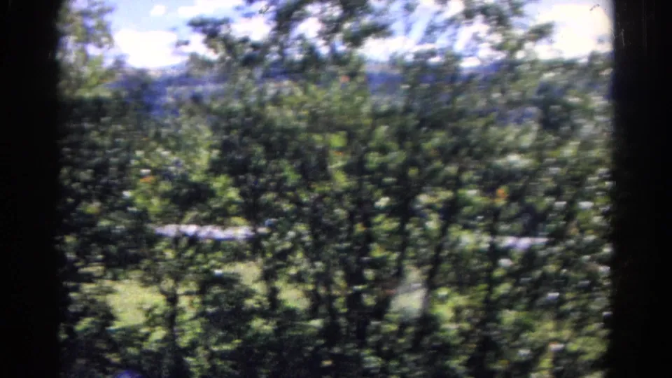 1967 Colorado 8mm frame showing blurred roadside trees, green slopes, distant mountains, and bright sky from a moving vehicle.