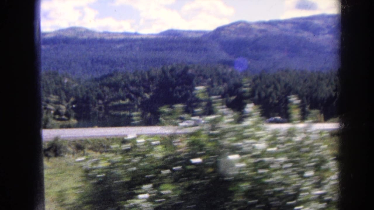 1967 Colorado home-movie frame of a forested mountain landscape, roadside shoulder, shrubs, and blue sky through a vehicle window.
