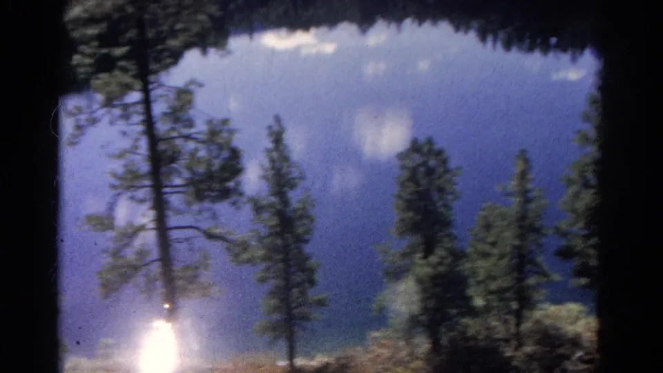 1967 Colorado lake scene with pines in the foreground, blue water behind them, and strong sun flare near the lower edge.