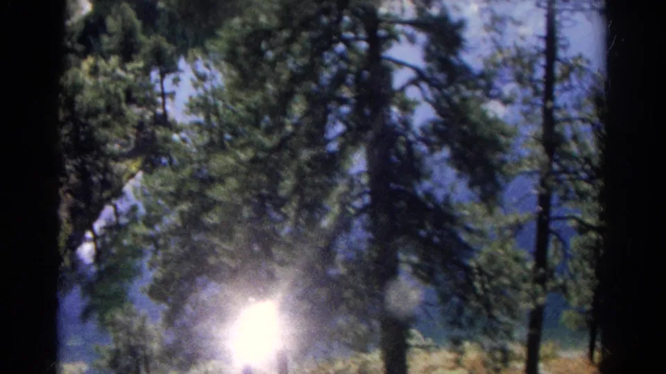 Handheld 8mm view of Colorado pines and lake water, softened by motion blur and a bright lower-frame flare.