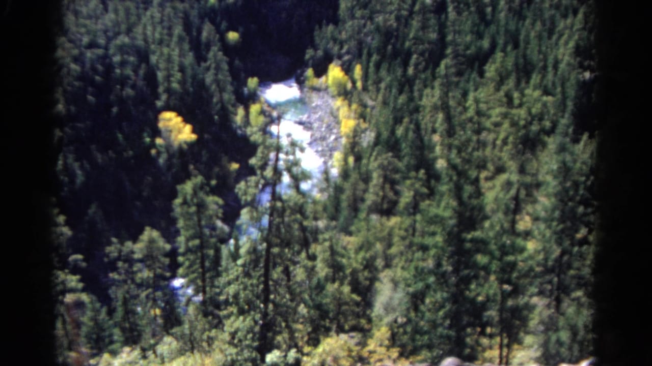 Elevated view of a river running through dense evergreen forest.