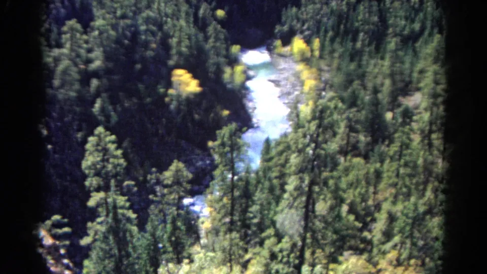 1967 Colorado home-movie frame of whitewater and dense evergreen forest, with yellow trees and dark 8mm frame edges visible.