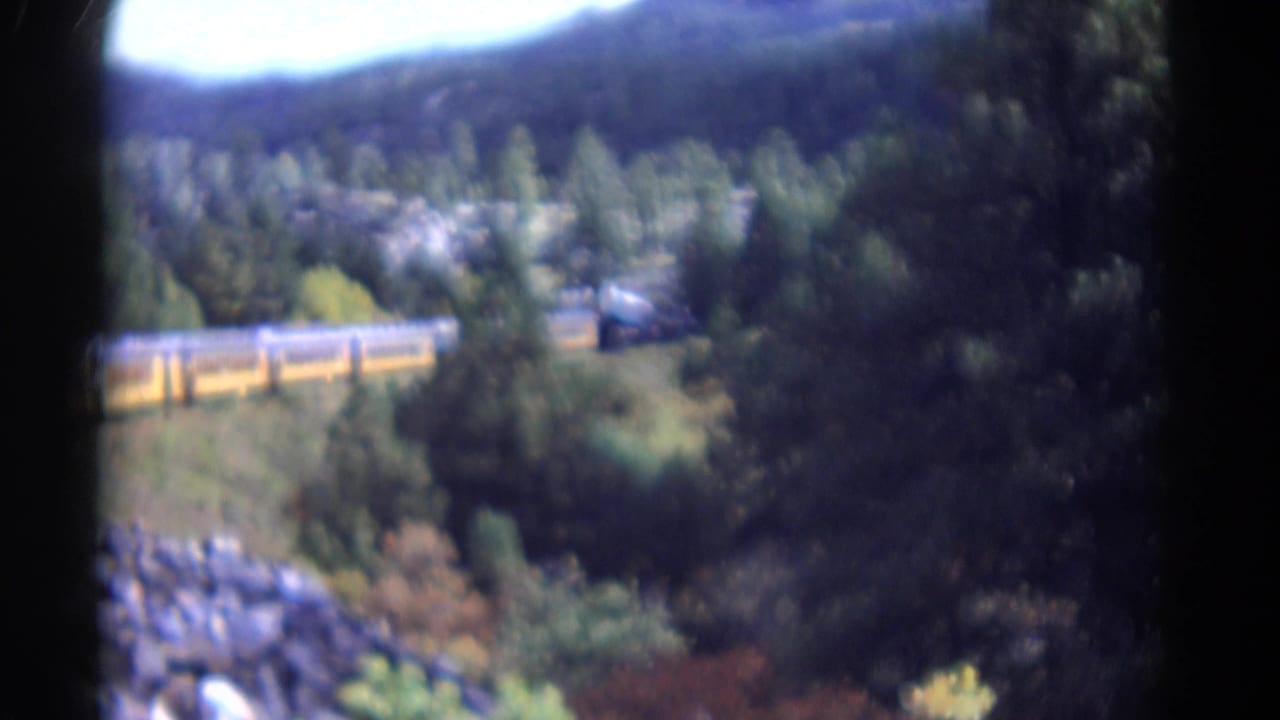 Yellow passenger train partly visible among pine trees in a mountain canyon.