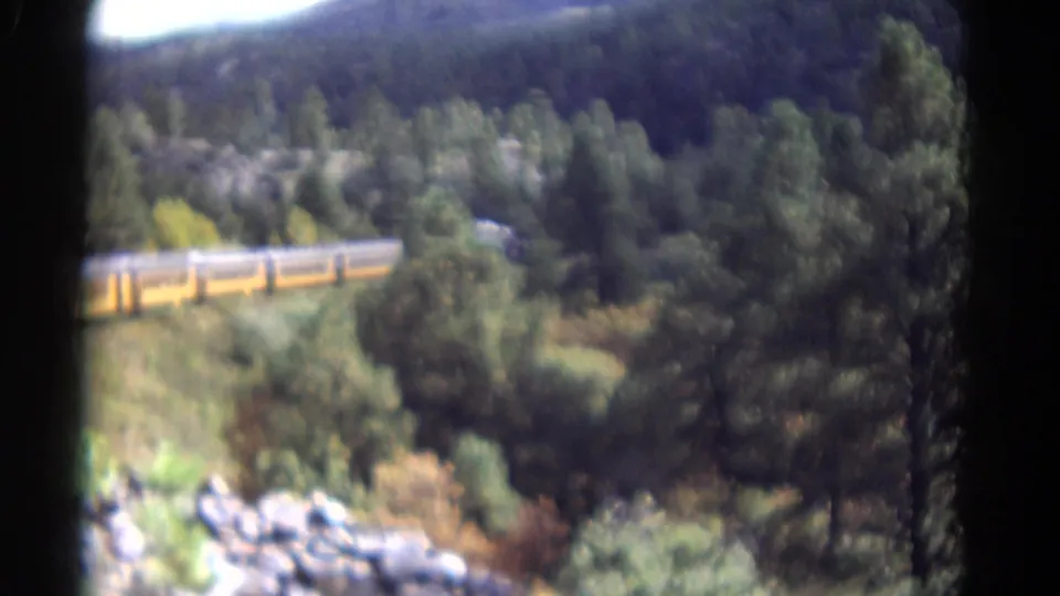 The yellow train continues along a wooded Colorado mountain route, with the lead car partly visible through soft 8mm focus.