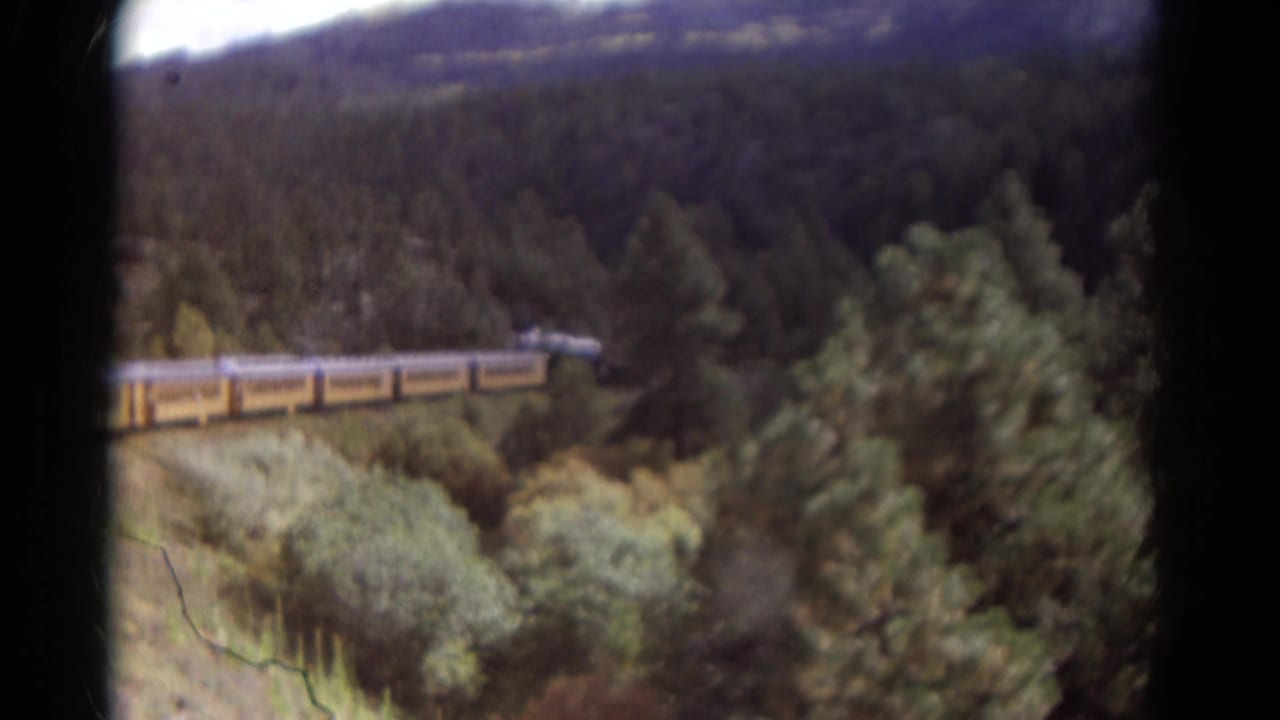 Passenger train crossing elevated tracks above forested terrain.