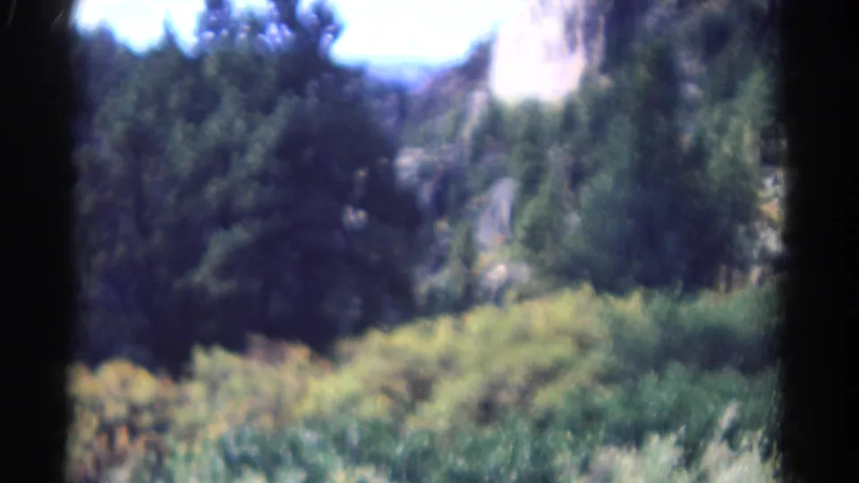 1967 Colorado 8mm frame looking toward a rocky, tree-covered hillside with brush in the lower foreground.