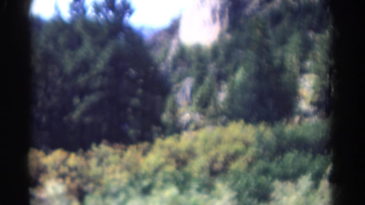 Soft-focus view over green canyon vegetation with dark 8mm frame edges.