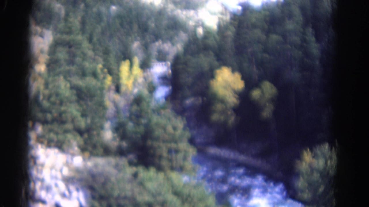 Aerial view of a river bend among dark forest and yellow trees.