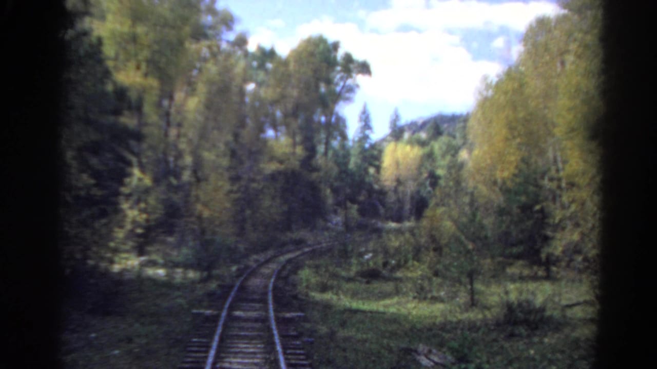 Railroad tracks curve through trees with sunlit foliage and hills in the distance.