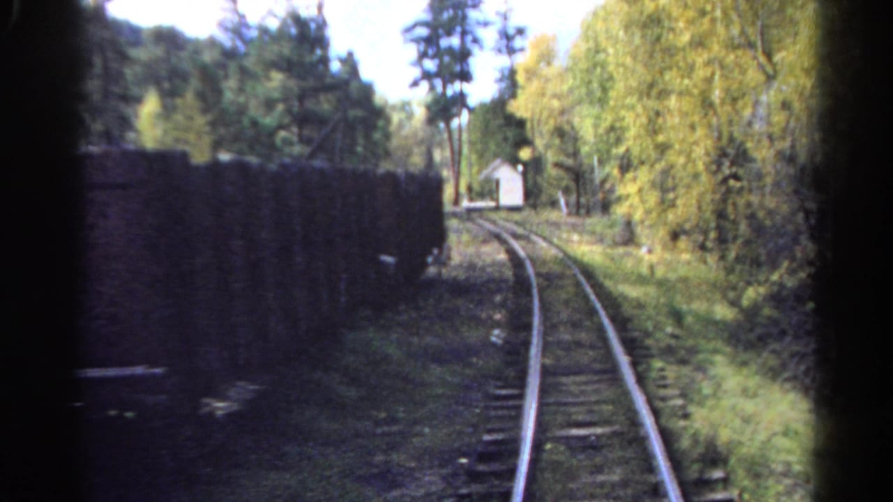 Railroad track curves through trees with freight cars on the left.