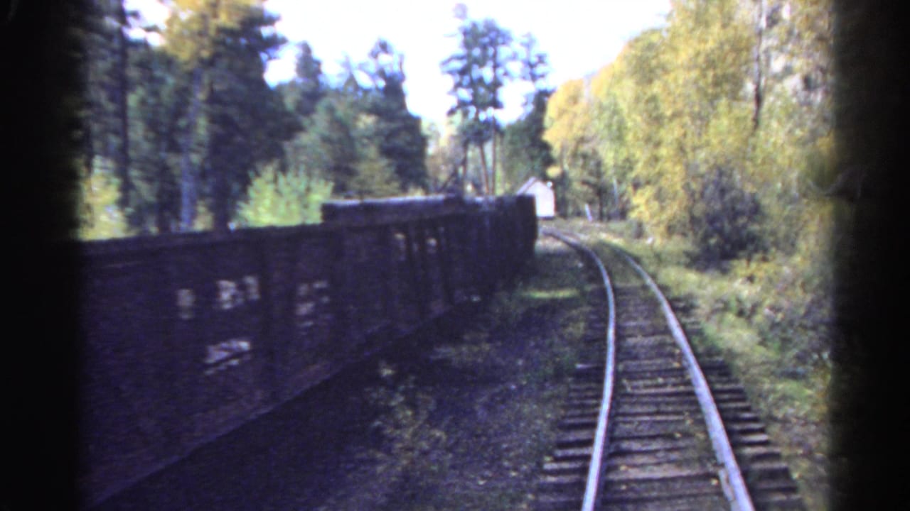 Rail line curves through trees with freight wagons alongside the track.