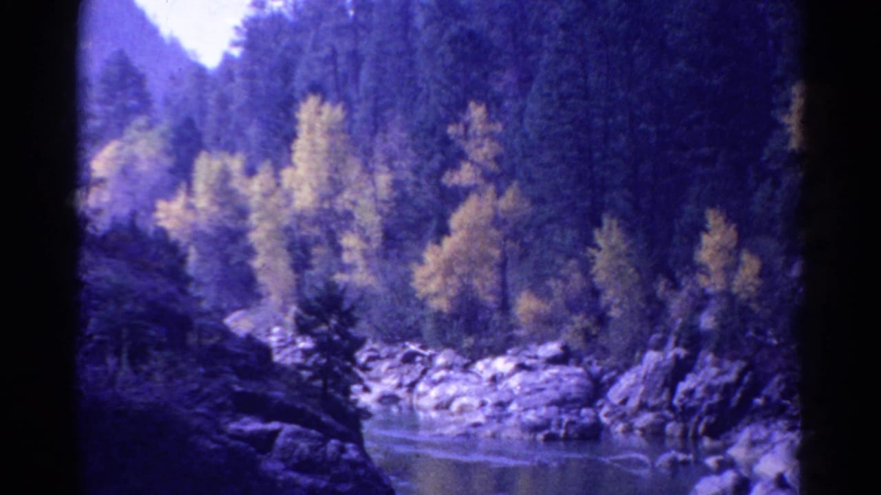 1967 Colorado home-movie frame of a rocky riverbank framed by yellow autumn trees, evergreens, and a wooded valley slope.