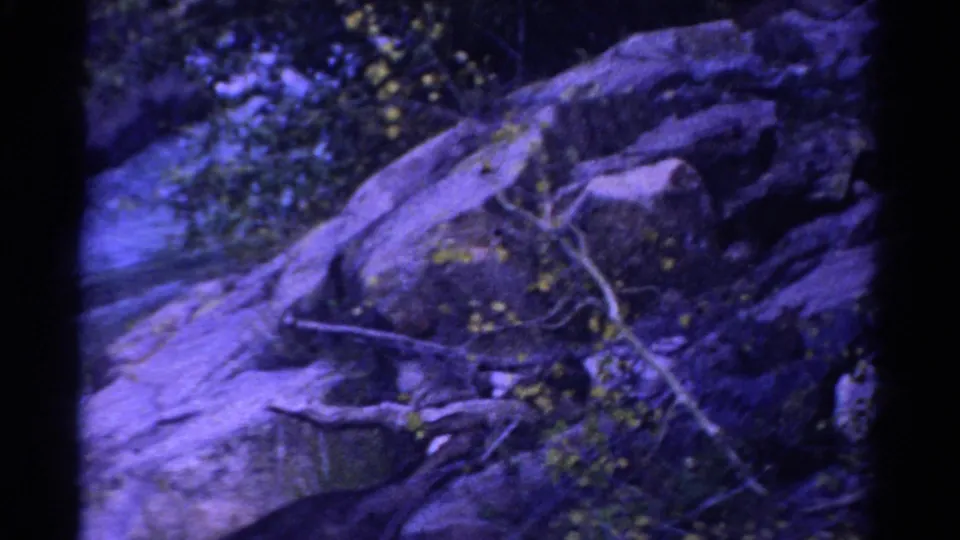 1967 Colorado 8mm frame showing moss-covered rocks, brush, and water after the camera shifts away from the train.