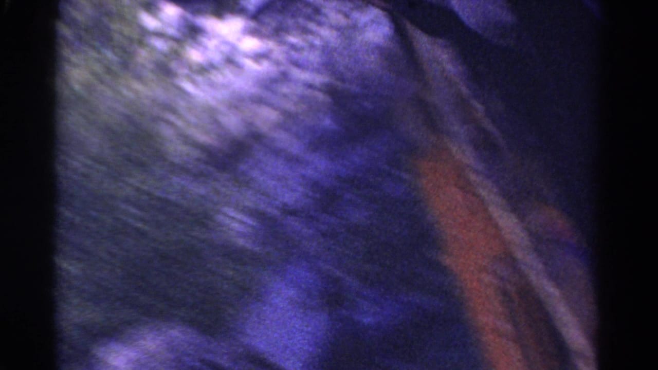 Blurred trackside view with vegetation and the side of the moving train.
