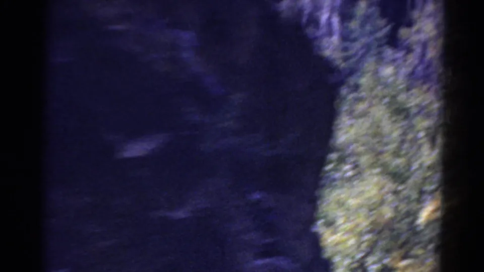 Dark handheld frame from the moving 1967 Colorado train footage, showing shadowed trackside forms and bright vegetation at the edge.