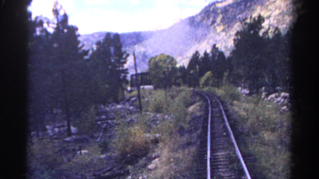 Railroad tracks curve through forest with mountains and trackside brush visible.