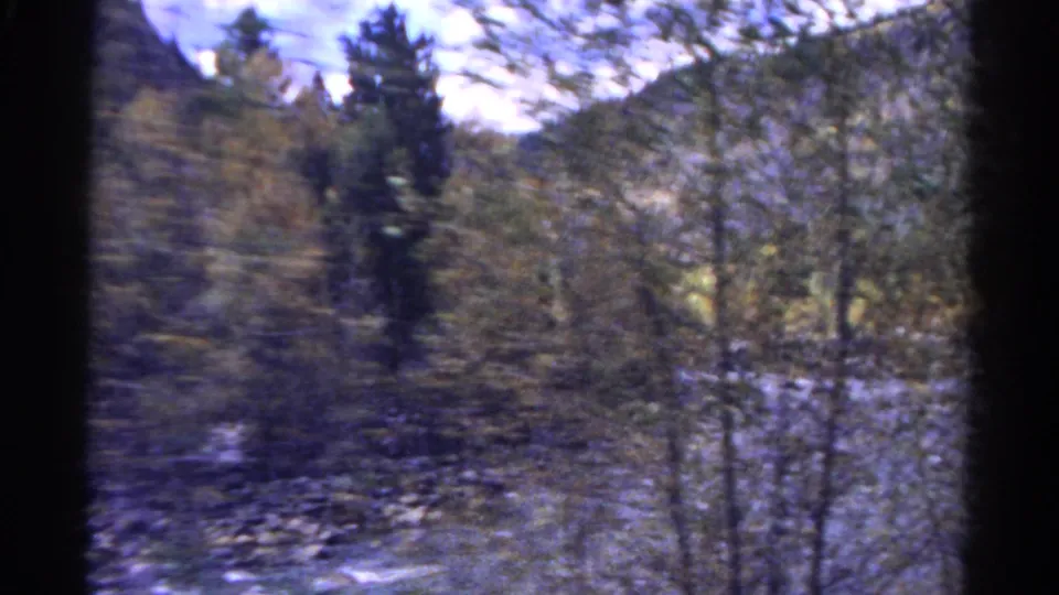 1967 Colorado 8mm view of a wooded riverbank, blurred roadside trees, rocky ground, and mountain terrain beyond.