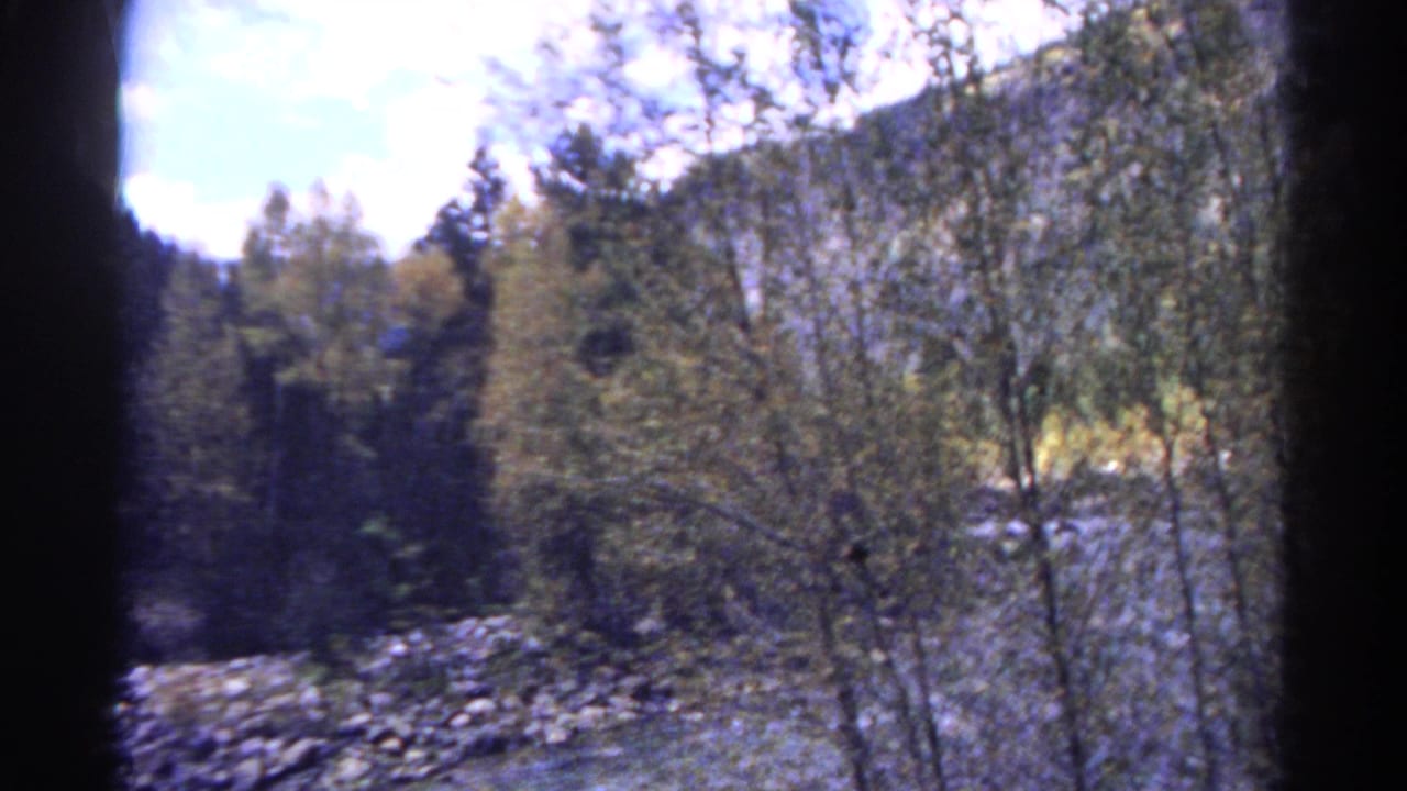 Forested riverbank seen from a moving train, with rocks, trees, and dark frame edges.