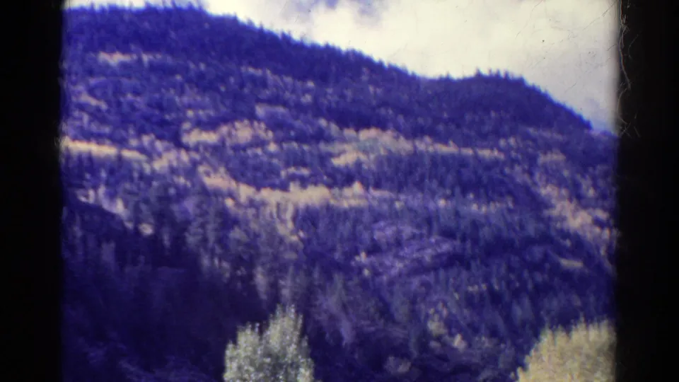 Soft 8mm Colorado landscape frame showing a forested mountain slope with lighter autumn foliage in the valley.