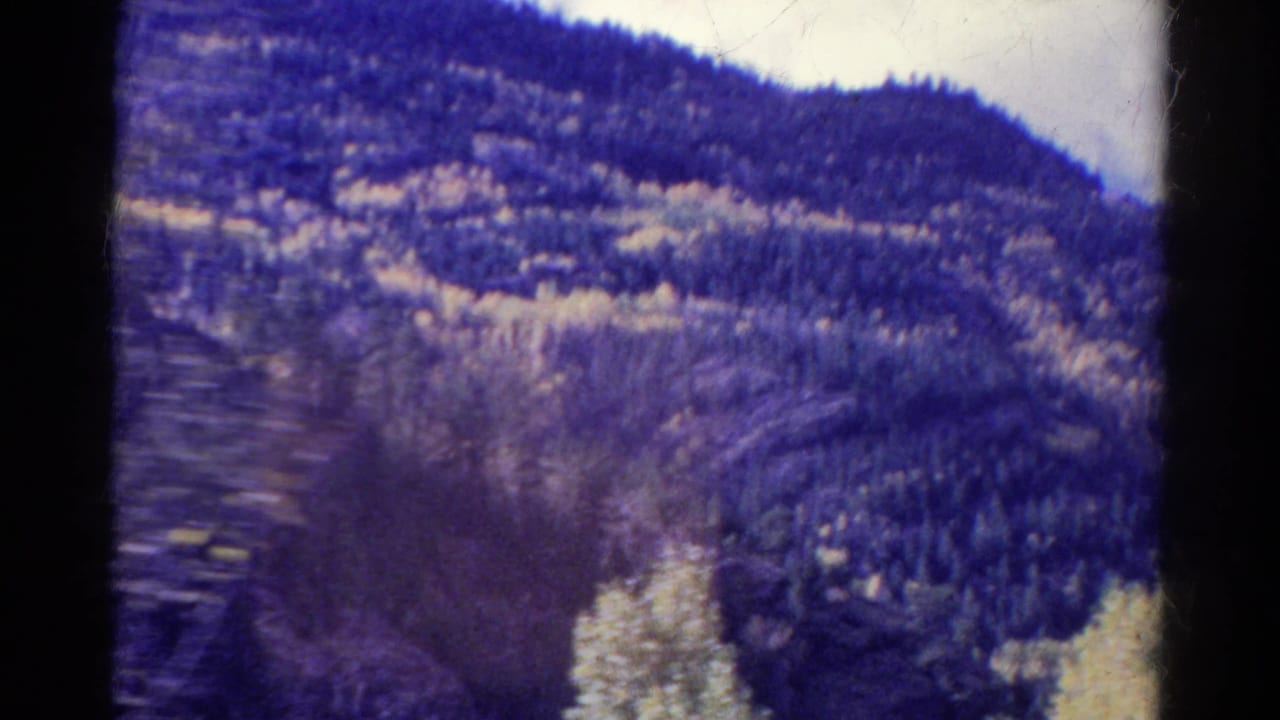 1967 Colorado home-movie frame showing a wooded hillside with pines and aspens from a moving vehicle.