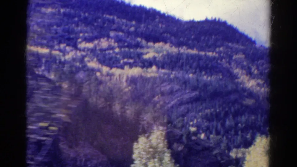 1967 Colorado home-movie frame showing a wooded hillside with pines and aspens from a moving vehicle.