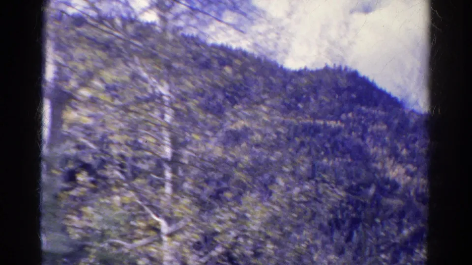 1967 Colorado frame with blurred roadside aspens in front of a pine-covered mountain slope.