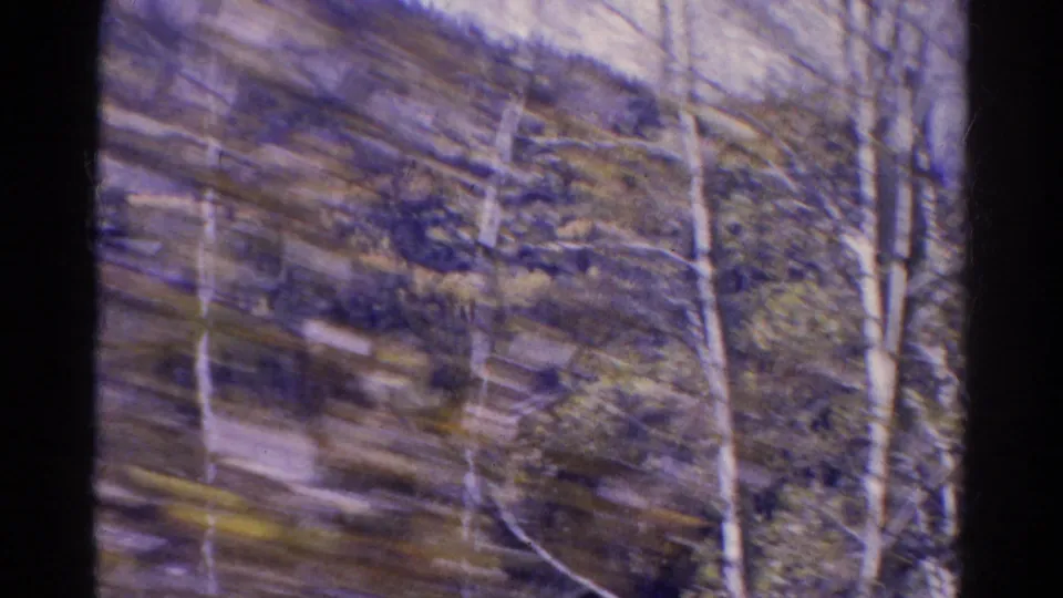 1967 Colorado home-movie view of pale aspen trunks and hillside vegetation blurred by vehicle motion.