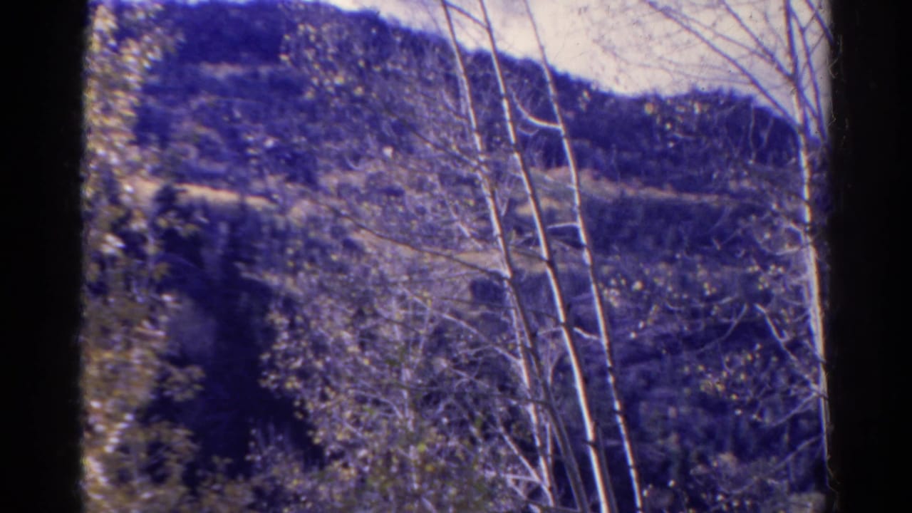 Wooded Colorado hillside seen through 8mm film gate edges.