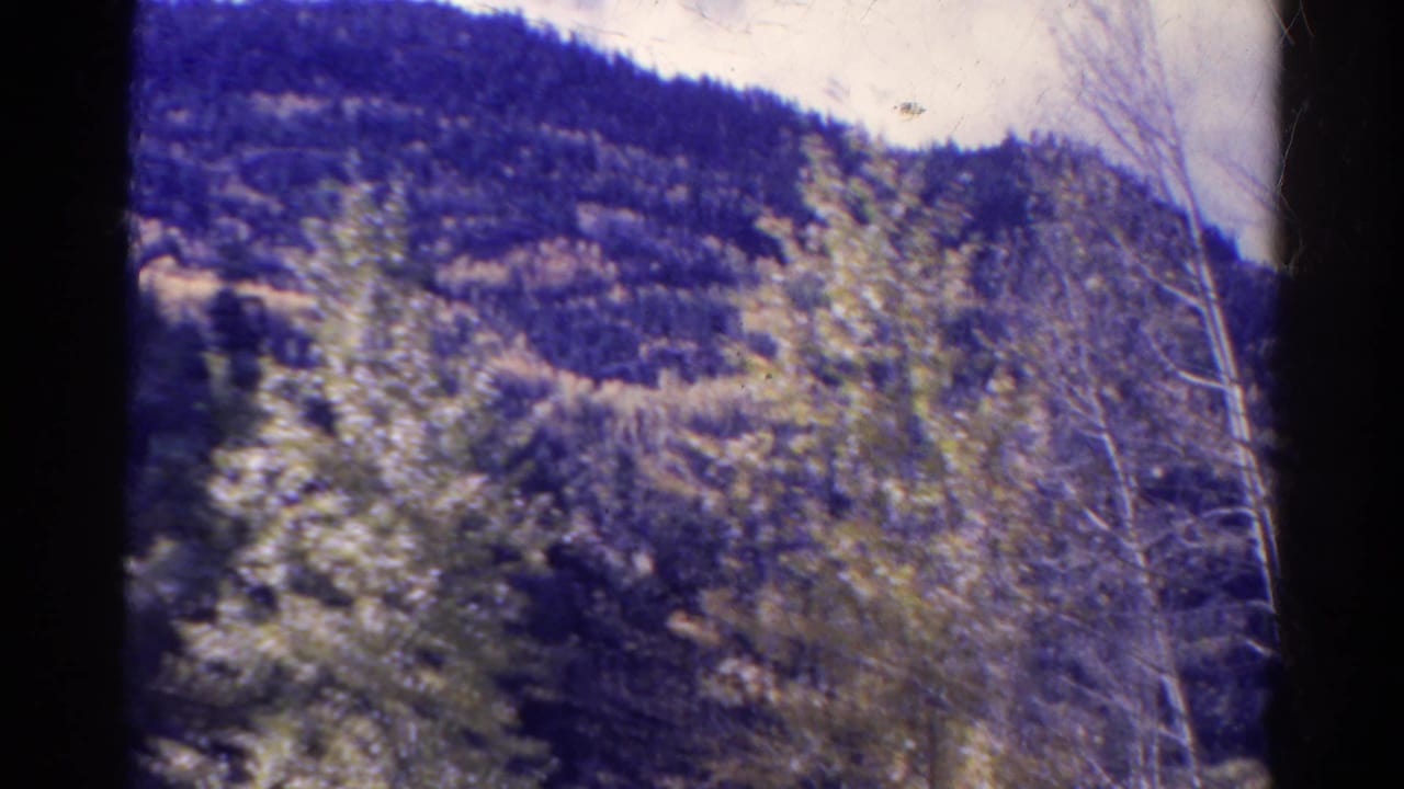 Mountain slope and trees filmed from a moving viewpoint.