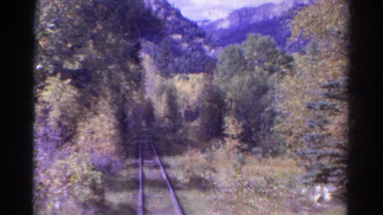 Railroad tracks curve through dense trees toward distant mountains under a cloudy sky.
