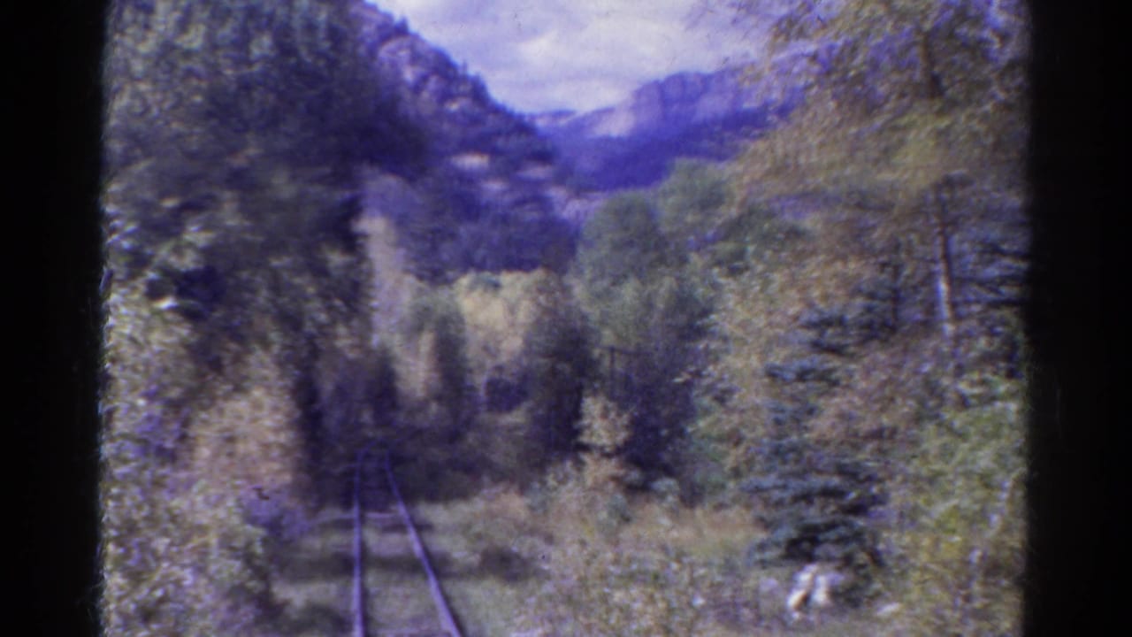 Forward-facing Colorado rail view from 1967, showing tracks, dense trees, brush, and mountains beyond the forest.