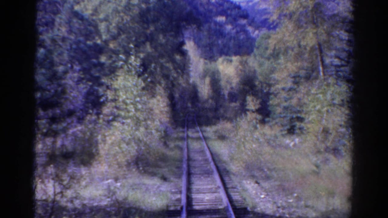 1967 Colorado 8mm frame showing railroad tracks ahead through evergreen trees, brush, and shaded mountain vegetation.