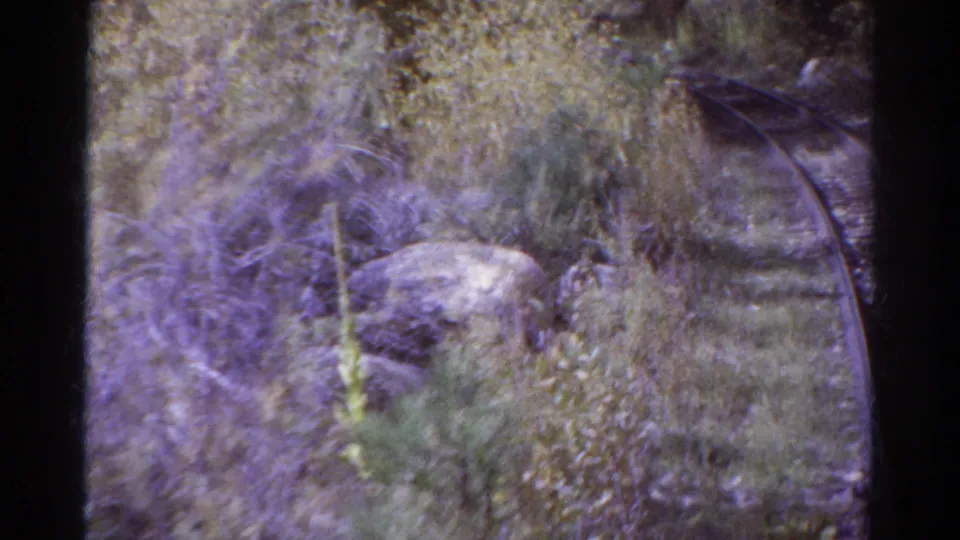 1967 Colorado 8mm frame showing the track curving past hillside rock, tangled brush, and autumn-toned trees.