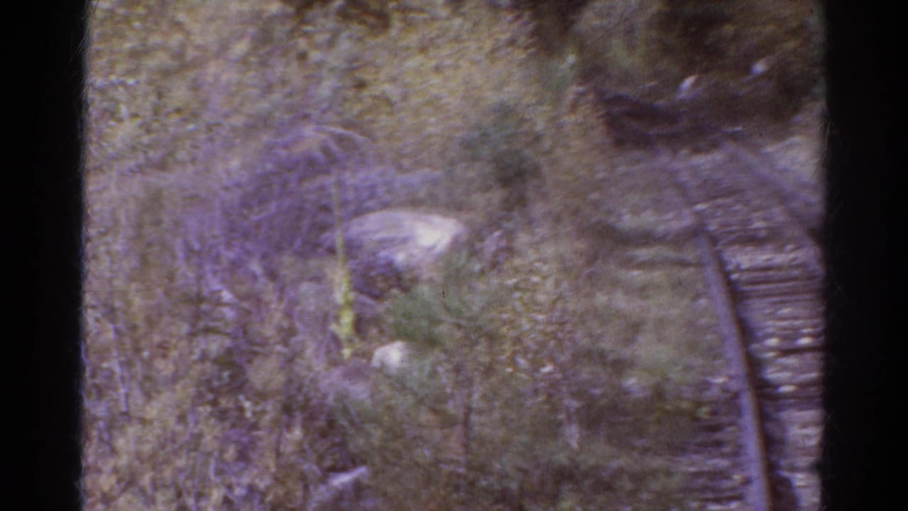 1967 Colorado 8mm frame looking ahead along empty railway tracks in a wooded area, with grain and faded color.