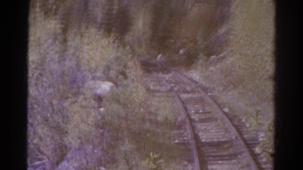 Forward-looking 1967 Colorado rail view showing empty tracks bending through a forested corridor on aged 8mm film.