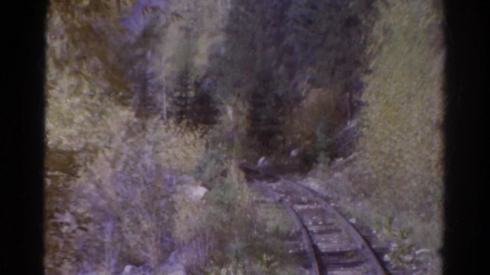 Aged 8mm frame from Colorado in 1967 showing empty railway tracks entering a darker patch of trees and brush.