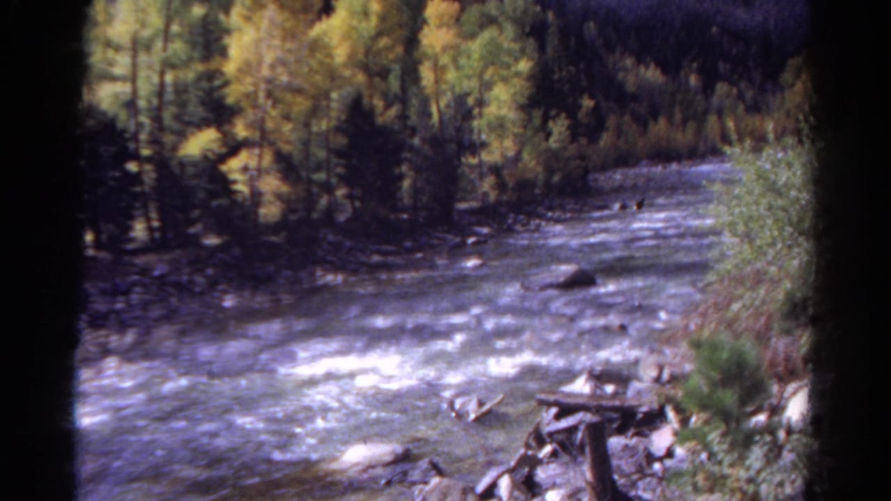 Rocky river bend with whitewater and dense trees along both banks.