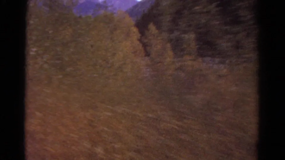 Soft, motion-blurred 1967 Colorado 8mm view of autumn-colored trees and a wooded slope.