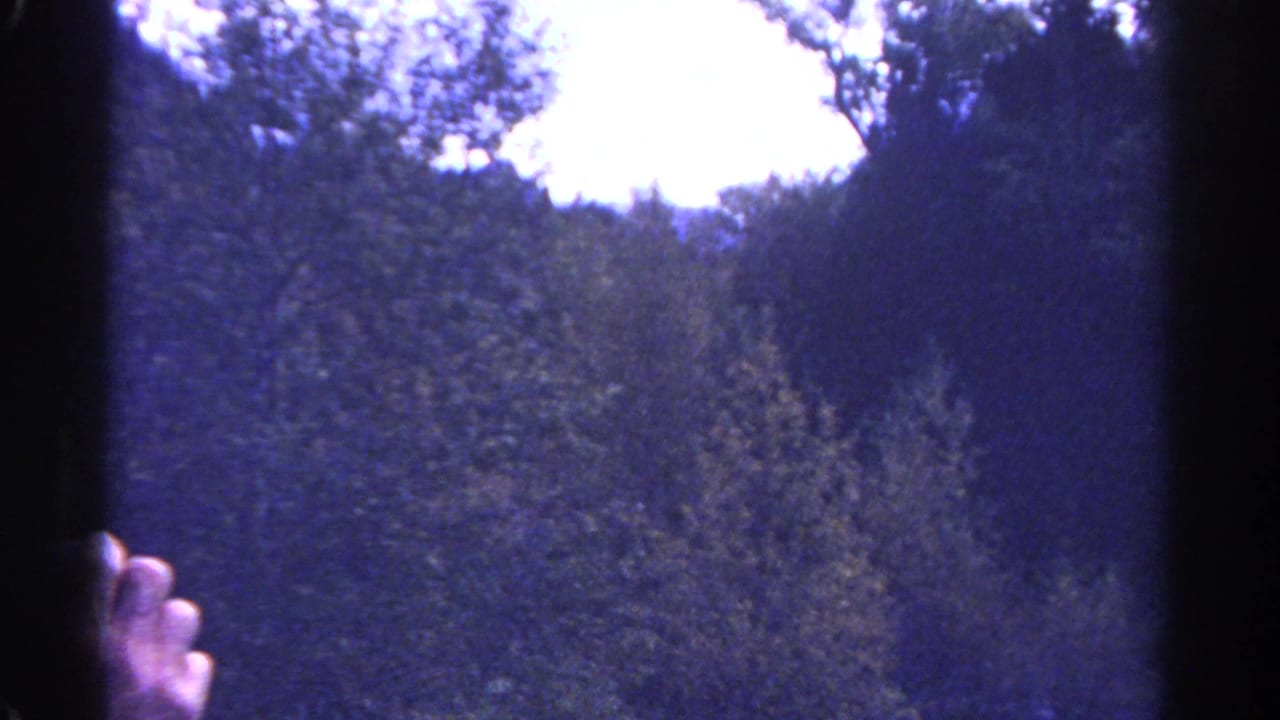 Trees and a partial hand seen through dark film-viewer edges.