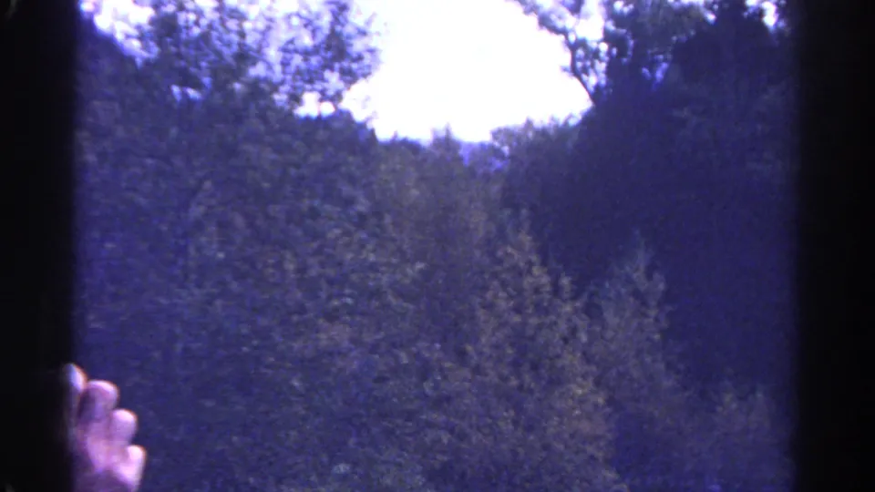 1967 Colorado 8mm frame showing dense trees, dark film-viewer borders, and a partial hand at the left edge.