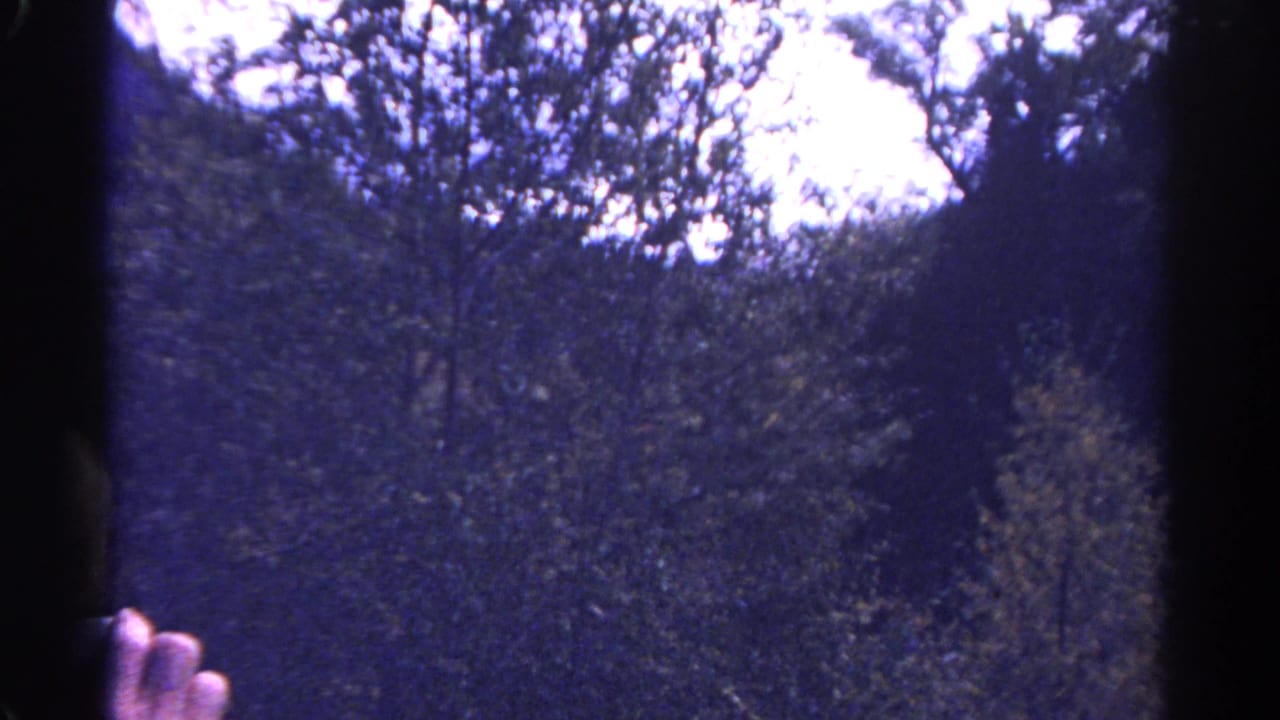 1967 Colorado home-movie frame of a wooded slope, bright sky, dark viewer borders, and a partial hand near the lower left.