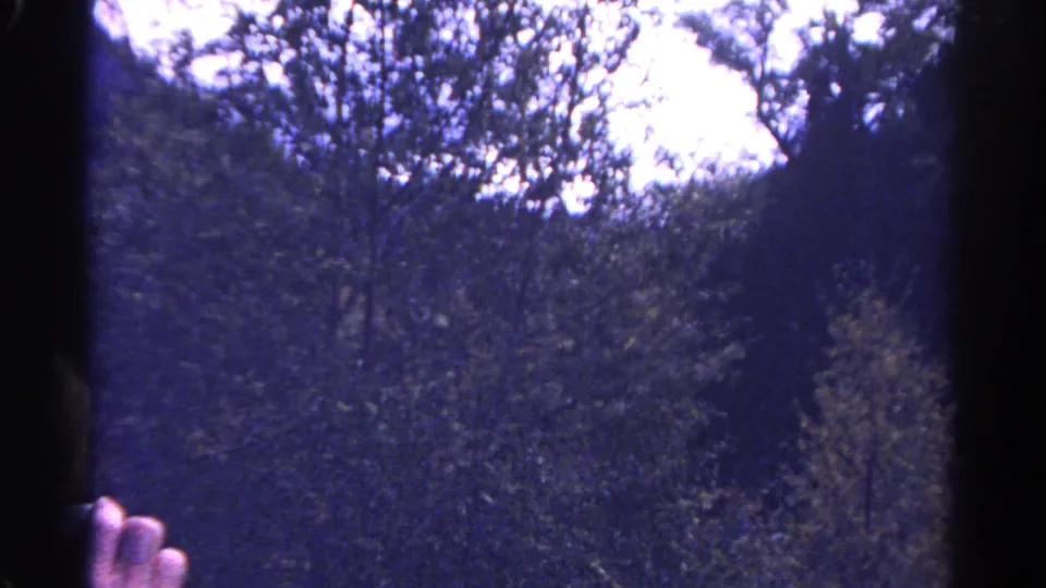 1967 Colorado home-movie frame of a wooded slope, bright sky, dark viewer borders, and a partial hand near the lower left.