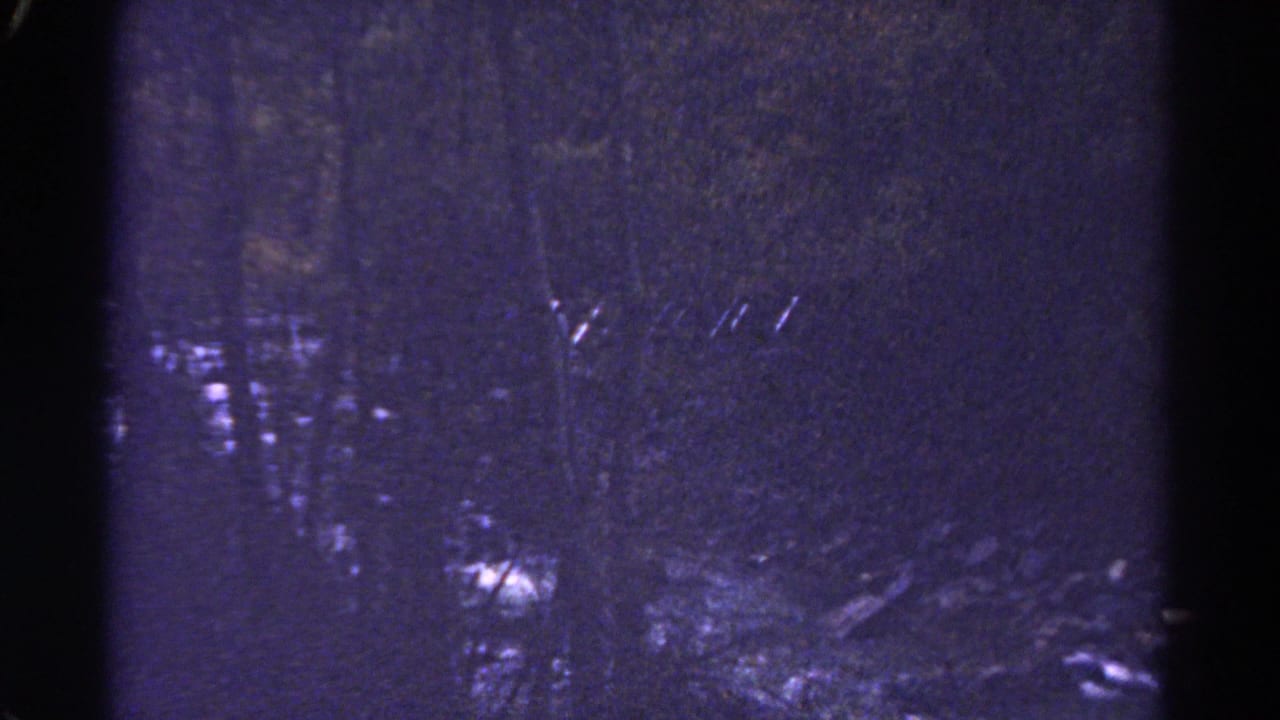 Dark forest river with faint rapids and tree trunks under a purple-blue film cast.