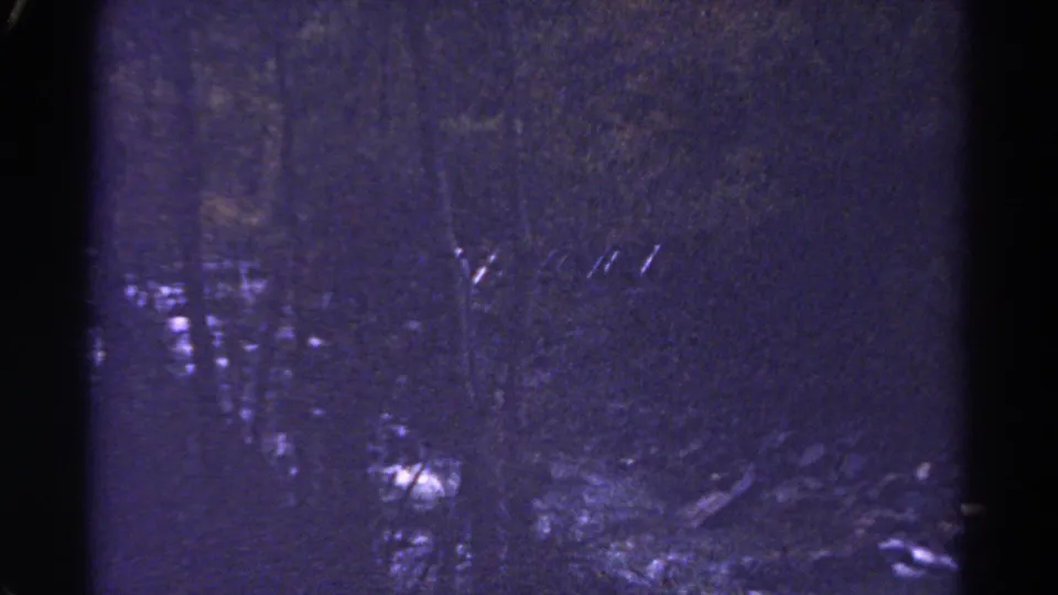 1967 Colorado 8mm frame showing a shadowed river or rapids partly obscured by dense trees and low-light grain.