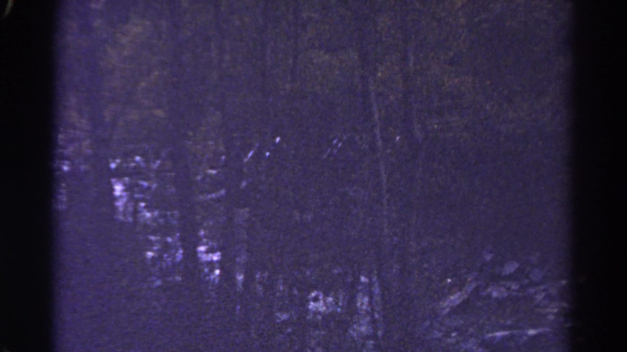 1967 Colorado 8mm frame with dark moving water, pale rapids, and a dense stand of trees in low light.