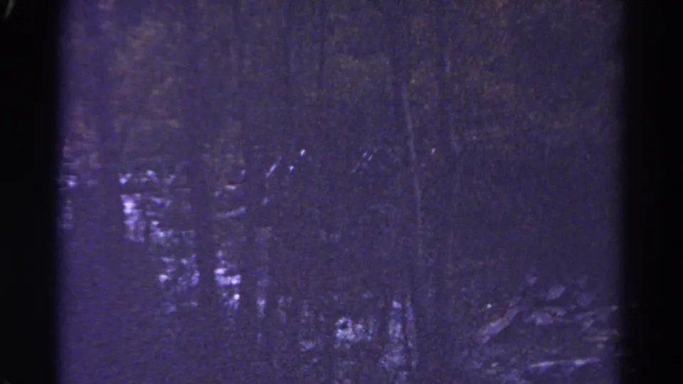 1967 Colorado 8mm frame with dark moving water, pale rapids, and a dense stand of trees in low light.
