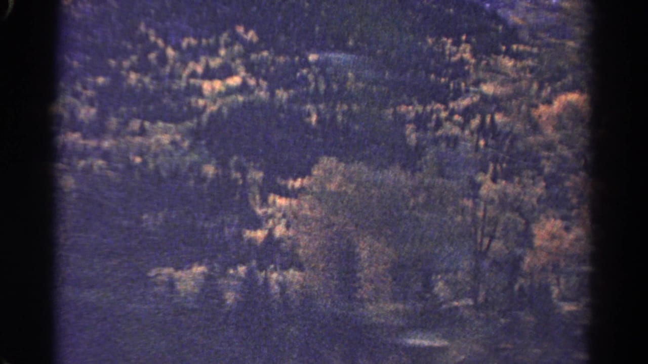 Forested slope with sunlit trees and a dark vertical film-frame edge.