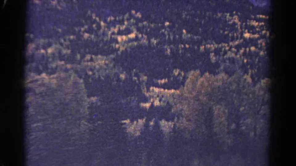 1967 Colorado 8mm frame showing dense trees, sloped terrain, and visible contact-sheet frame boundaries.
